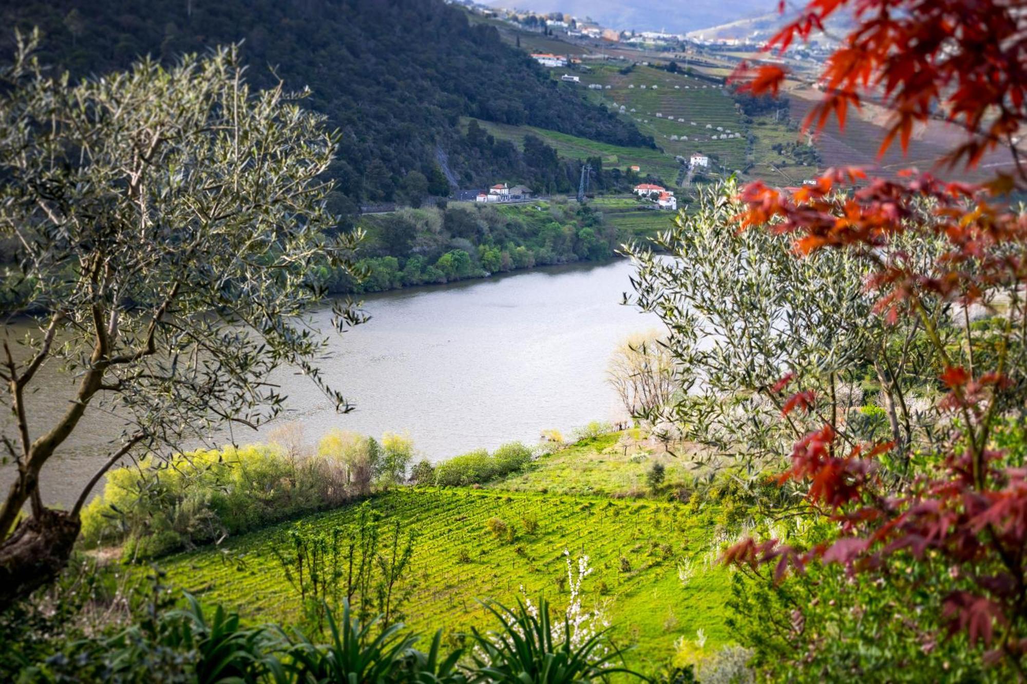 Fraga Douro House, Douro Valley Resende Εξωτερικό φωτογραφία